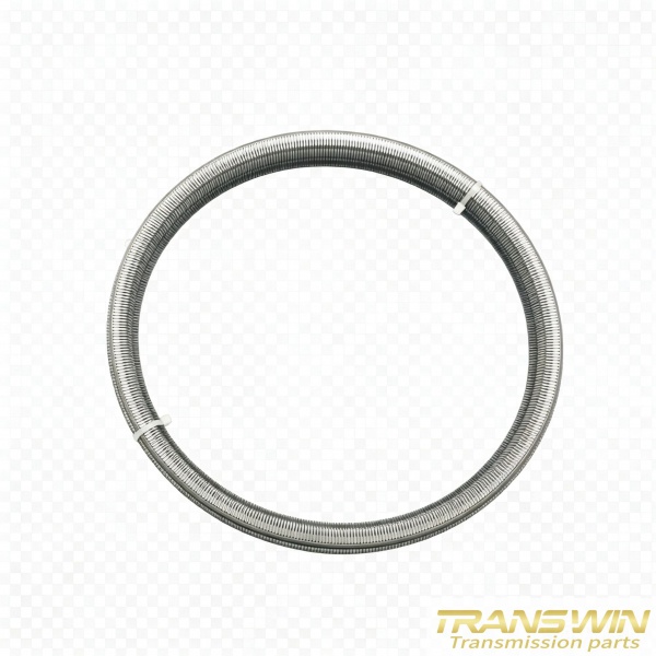 Hot Selling Vt1 Vt2 F1c1 Chain Belt 901064 | TRANSWIN