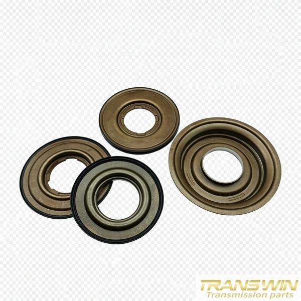 Hot Selling 09g Piston Kit | TRANSWIN