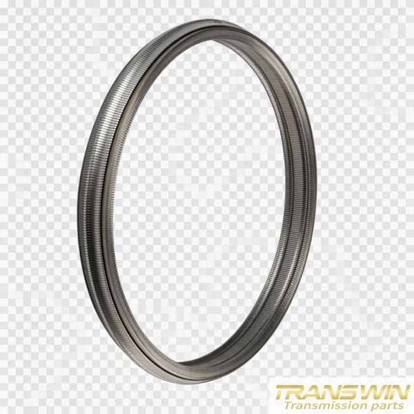 Hot Selling QR019CHA chain belt 901067 | TRANSWIN