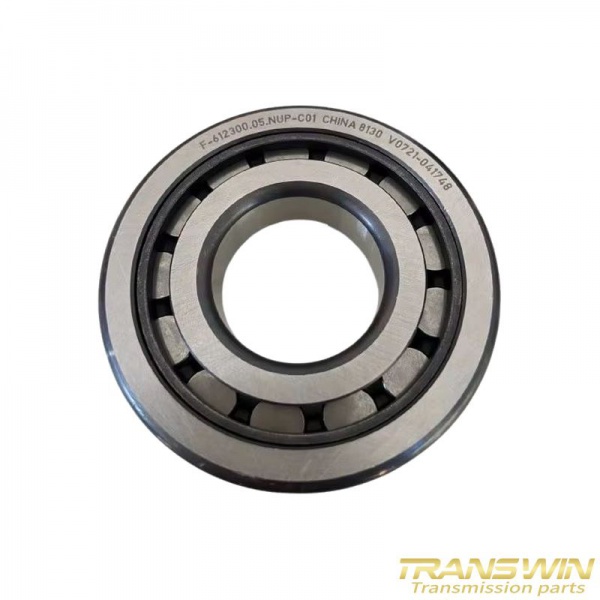VT40/CVT BEARING - F-612300.05.NUP-C01