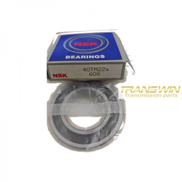 DPS6 Bearing - 40TM22