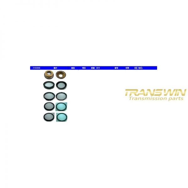 6T31 Piston Kit - NAK210300B