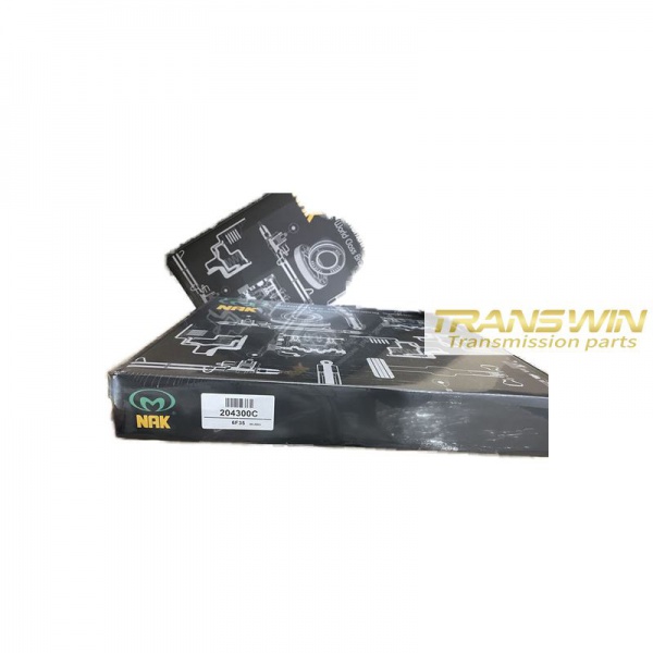 6F35 PISTON KIT (FORD) 07-13 - 204300C
