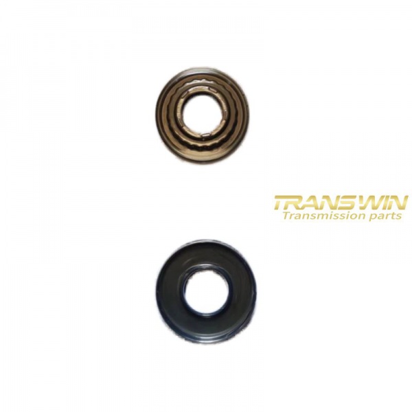 K310/K313 Piston Kit - CFW256300A