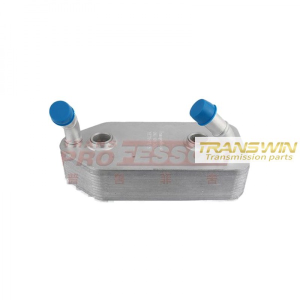 01M/ Bora Oil cooler - 096409061G