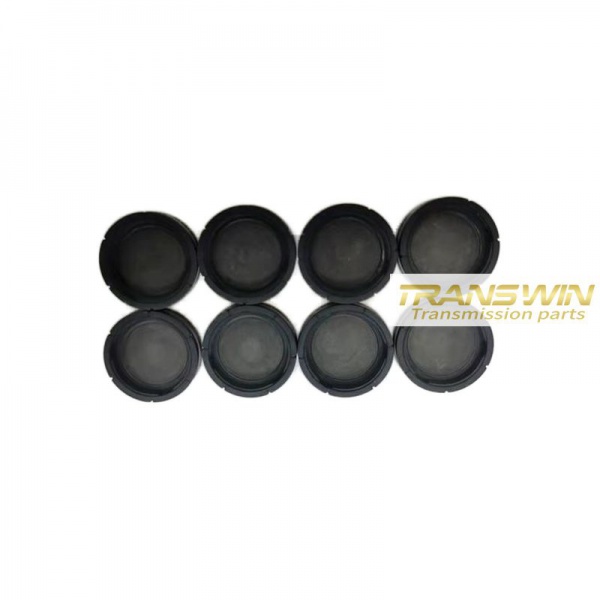 7DCT450/724 Piston/Fork - T080304A