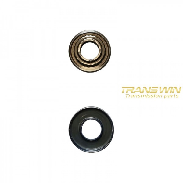 K310 Piston Kit - T256300A